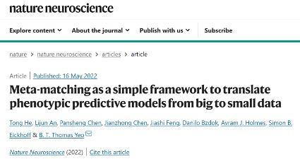 AI元学习首次引入神经科学 有望提升脑成像精准医疗