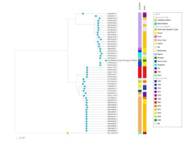 猴痘病毒最新基因测序：温和西非株系，与三年前英国毒株相近
