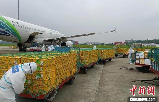 广西南宁加快建设国际航空货运枢纽 货邮吞吐量猛增