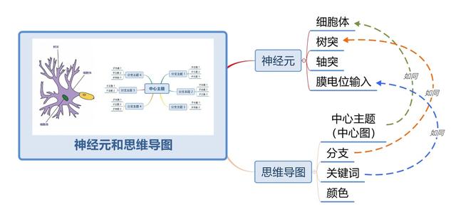 世界五大学习方法