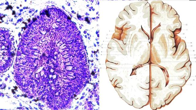 深耕生命科学智能自动化，镁伽完成3亿美元C轮融资