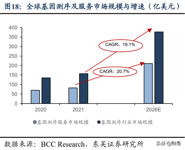 诺禾致源研究报告：全球科研测序龙头企业，疫情后有望重回高增长