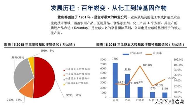 中国粮食安全的命脉（上）:无硝烟的战争,一颗撬动国家安全的种子