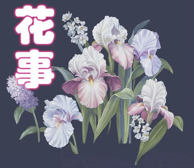 「过往」 花事 ||蒙志军