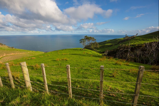 在新西兰做窗帘能月入多少？