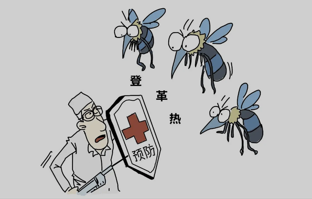新加坡出现登革热 小心蚊虫