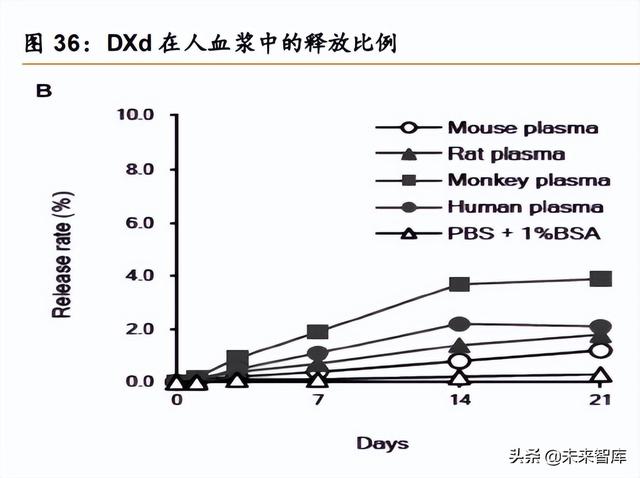 医药行业深度报告：创新驱动，ADC药物发展加速