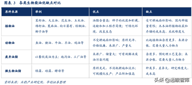 生物柴油——双碳背景下的高景气细分赛道