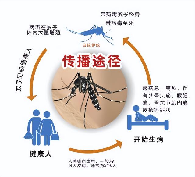 进入高发季， 省卫健委紧急提醒！