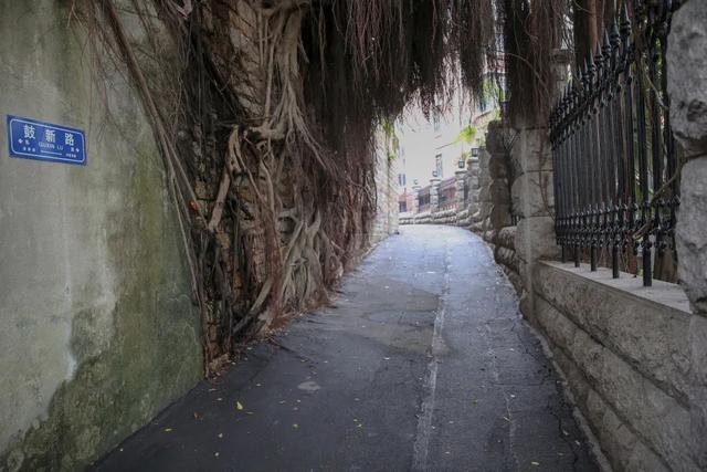 鼓浪屿路名地名知多少，追溯鼓浪屿的社区记忆