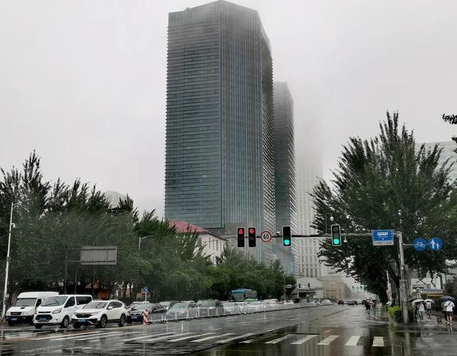 阴雨连绵看沈阳 迷人之处像头罩面纱的亚带雨林新加坡