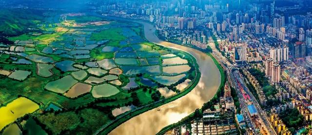 香港经济下一步