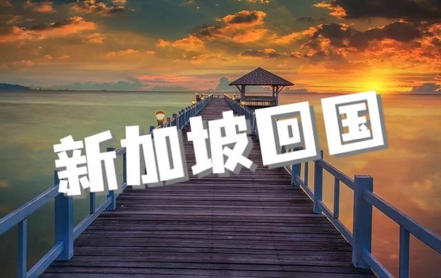 新加坡回国航班推荐