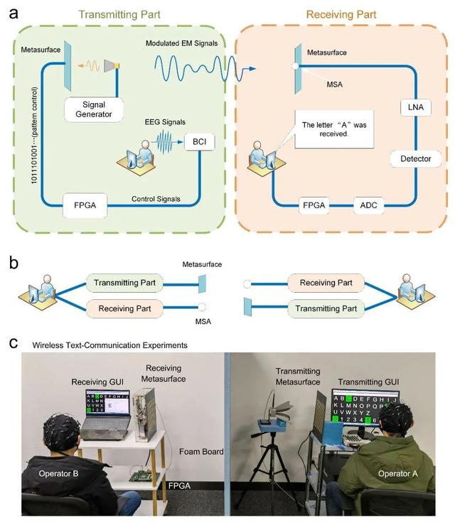 基于脑电超表面的无线通信与多种电磁波调控