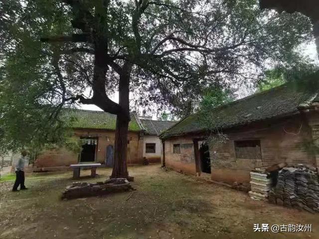 「汝州访古」——陵头镇寇寨村齐天大圣庙！独特的孙悟空信仰