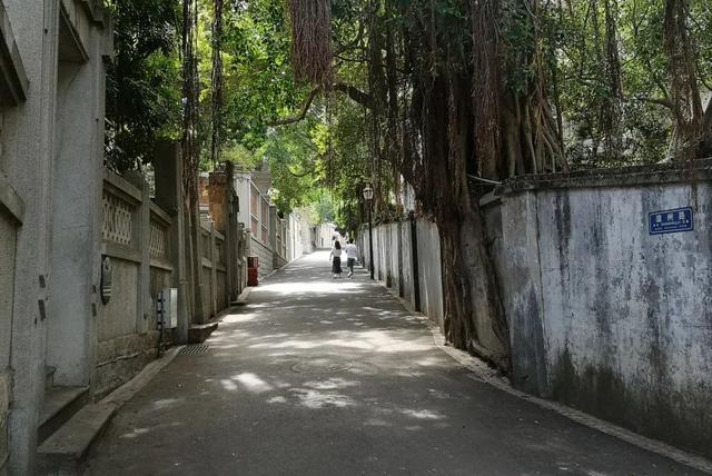 鼓浪屿路名地名知多少，追溯鼓浪屿的社区记忆