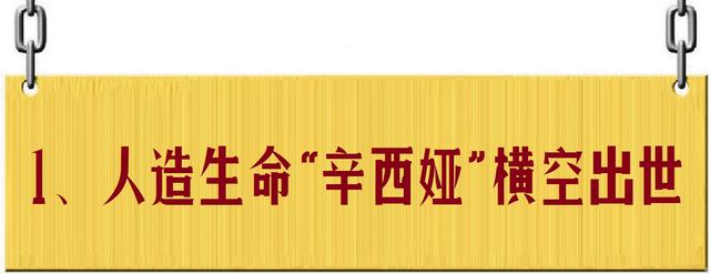 人造生命：超越自然，还是带来毁灭？