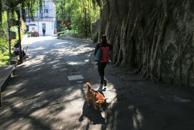 鼓浪屿路名地名知多少，追溯鼓浪屿的社区记忆