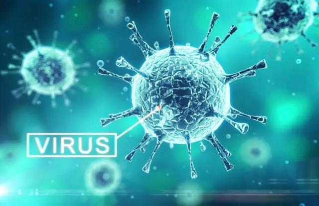 “病毒双雄”BA.4和BA.5在南非引发新疫情 可能在7月8月登陆新加坡