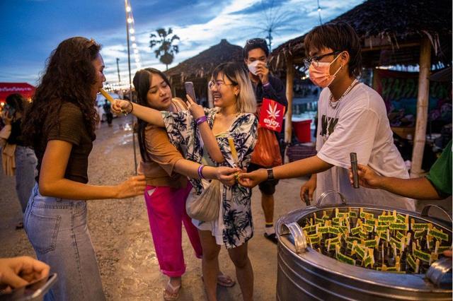 从反毒品战争到合法栽种——泰国发生了什么