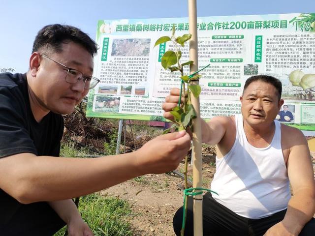 “硕士支书+海归主任”组合，助推淄博“出国劳务村”蝶变