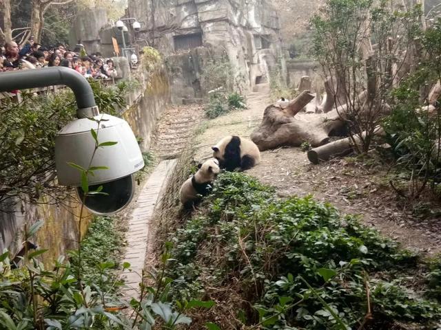 四川城市—美食、美景之成都