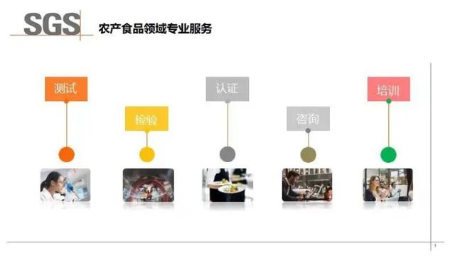 SGS认证技术专家乔维维：低GI食品发展现状和产品认证趋势