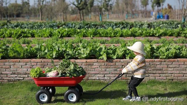 江浙沪度假我选择入住这家酒店！明星都争相打卡