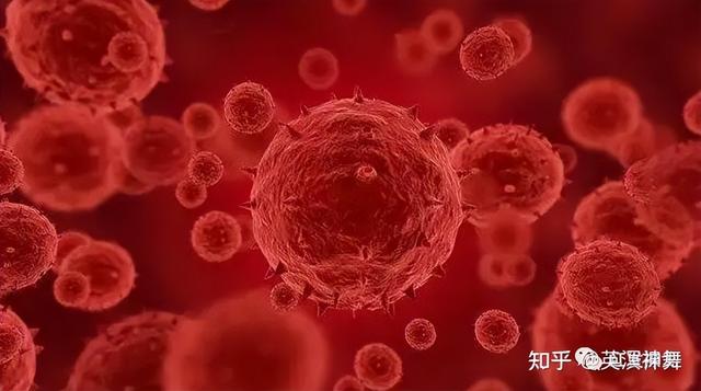 正在全球蔓延的“猴痘病毒”会是下一波疫情吗？