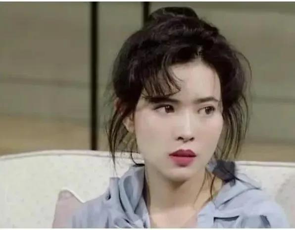 蓝洁瑛被侵案嫌疑人都有谁？深度揭秘蓝洁瑛事件背后的真实故事