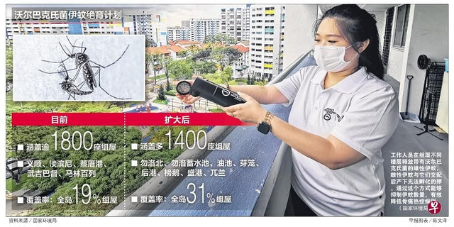 新加坡骨痛热症疫情敲警钟？伊蚊绝育计划下月扩大至八地区