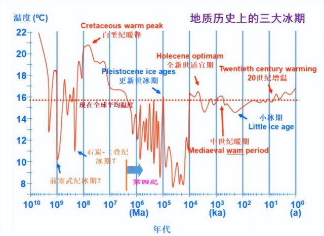 牛羊打嗝要缴税，新西兰蠢出新高度