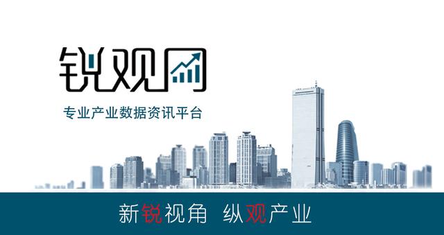 2023-2028年中国老年经济发展预测及投资策略分析报告