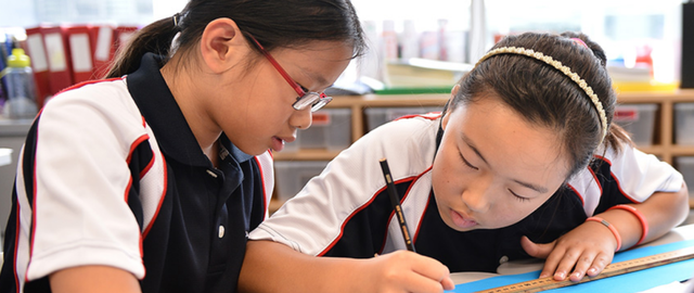 新加坡政府学校“分流制度”的——因材施教理念