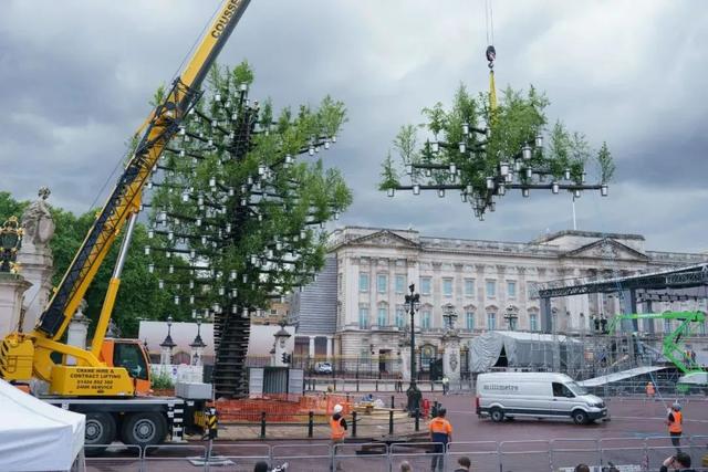 英女王70周年，Heatherwick又做了一棵树？网友：能有点新意吗？