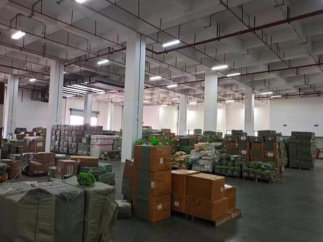 广州深圳义乌到印尼海运专线宠物用品发货到印尼马来新加坡