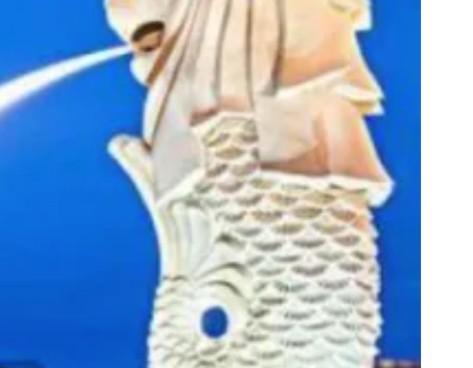 国名（地区）与动物关联