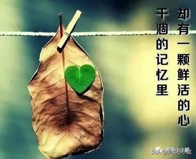 把你们的世界给了我