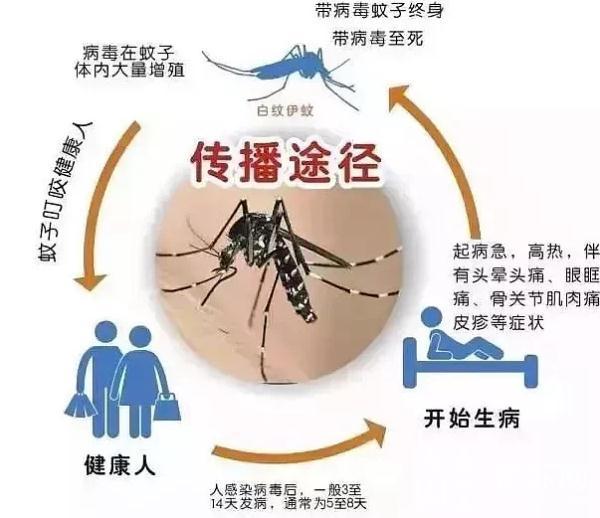 每12分钟死亡1例！海关总署最新提醒，近期警惕这种疾病