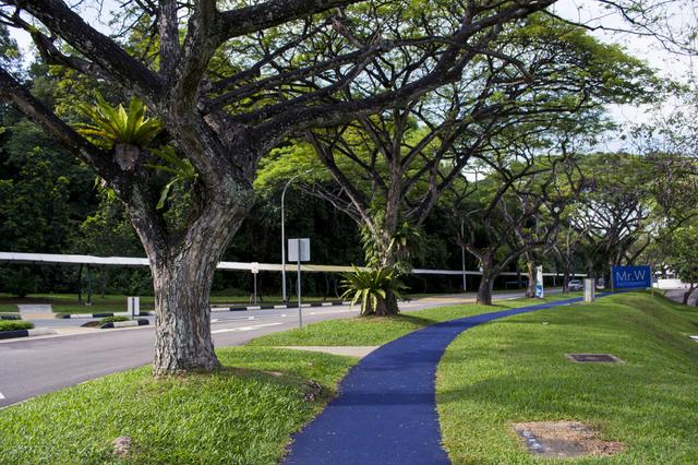 新加坡南洋理工硕士读几年