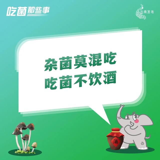 综合施策！云南着力推进经济高质量发展