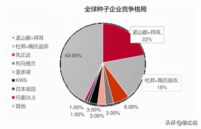 中国粮食安全的命脉（上）:无硝烟的战争,一颗撬动国家安全的种子