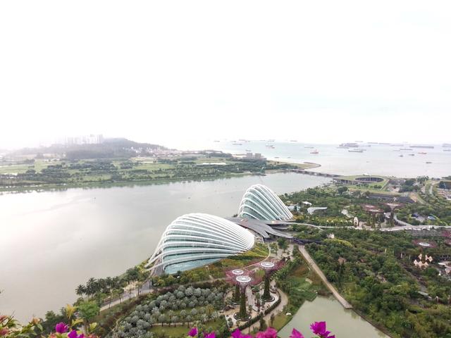 新加坡物流管理专业排名