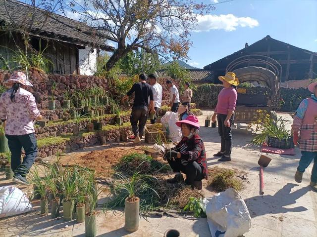 腾冲：“五个三”全力打造乡村振兴和现代化边境小康村样板