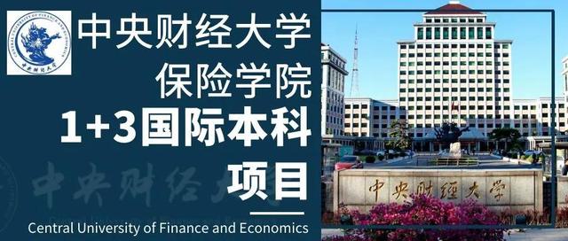 中央财经大学保险学院国际本科2022年招生中