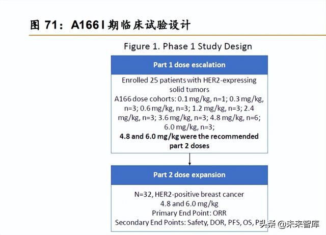 医药行业深度报告：创新驱动，ADC药物发展加速