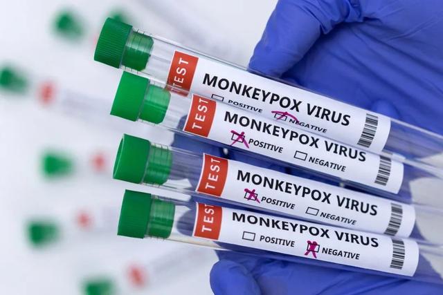 已报告780例，非流行区域的猴痘疫情可控吗？对话欧洲疾控中心