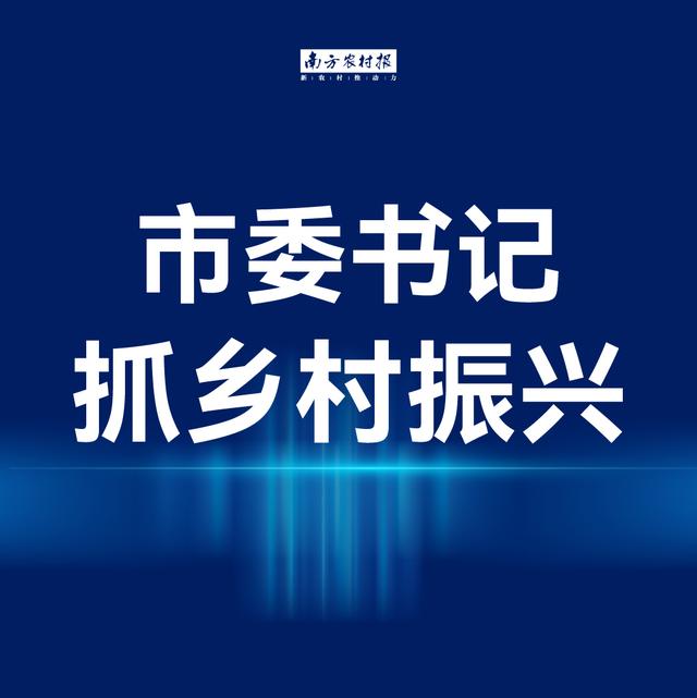 广州、珠海、汕头、佛山、梅州、江门、阳江、湛江、肇庆、潮州、揭阳、云浮有最新要求 | 市委书记抓乡村振兴