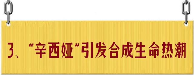 人造生命：超越自然，还是带来毁灭？