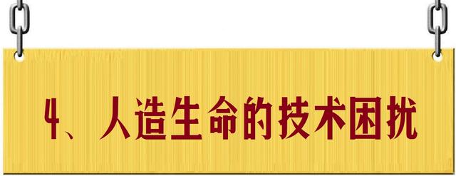 人造生命：超越自然，还是带来毁灭？